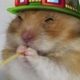 Profile picture of GaryMArias